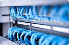 Blue Networking Cables